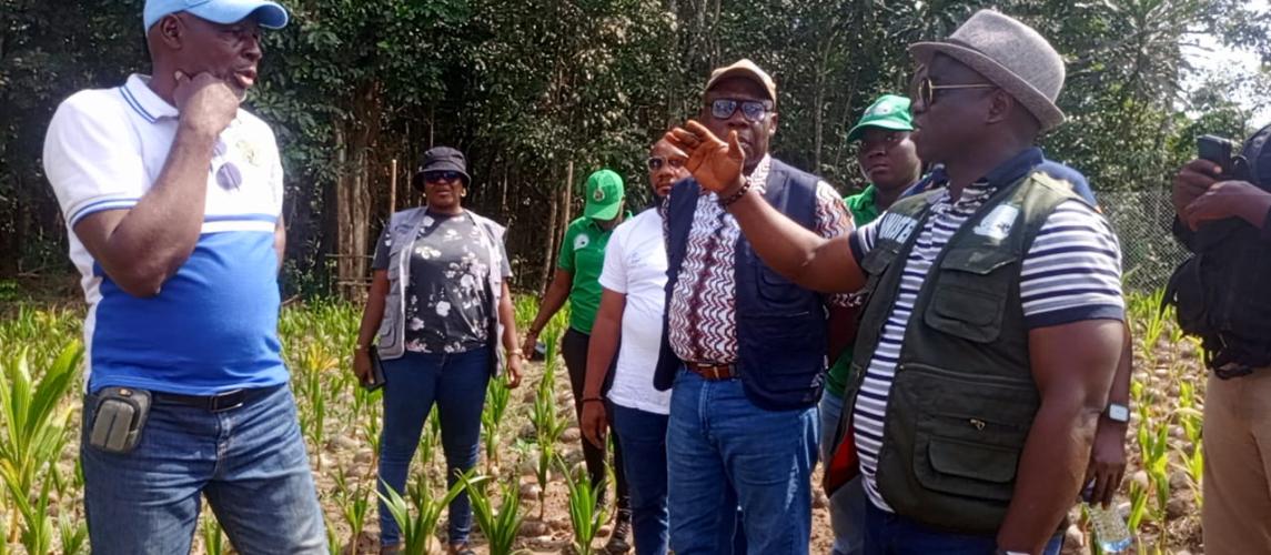 Government Launches Fully Funded Coconut Seed Garden Initiative in Four Southeastern Counties